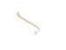 Raccoon Baculum: Large - 378-05L (Y2L)