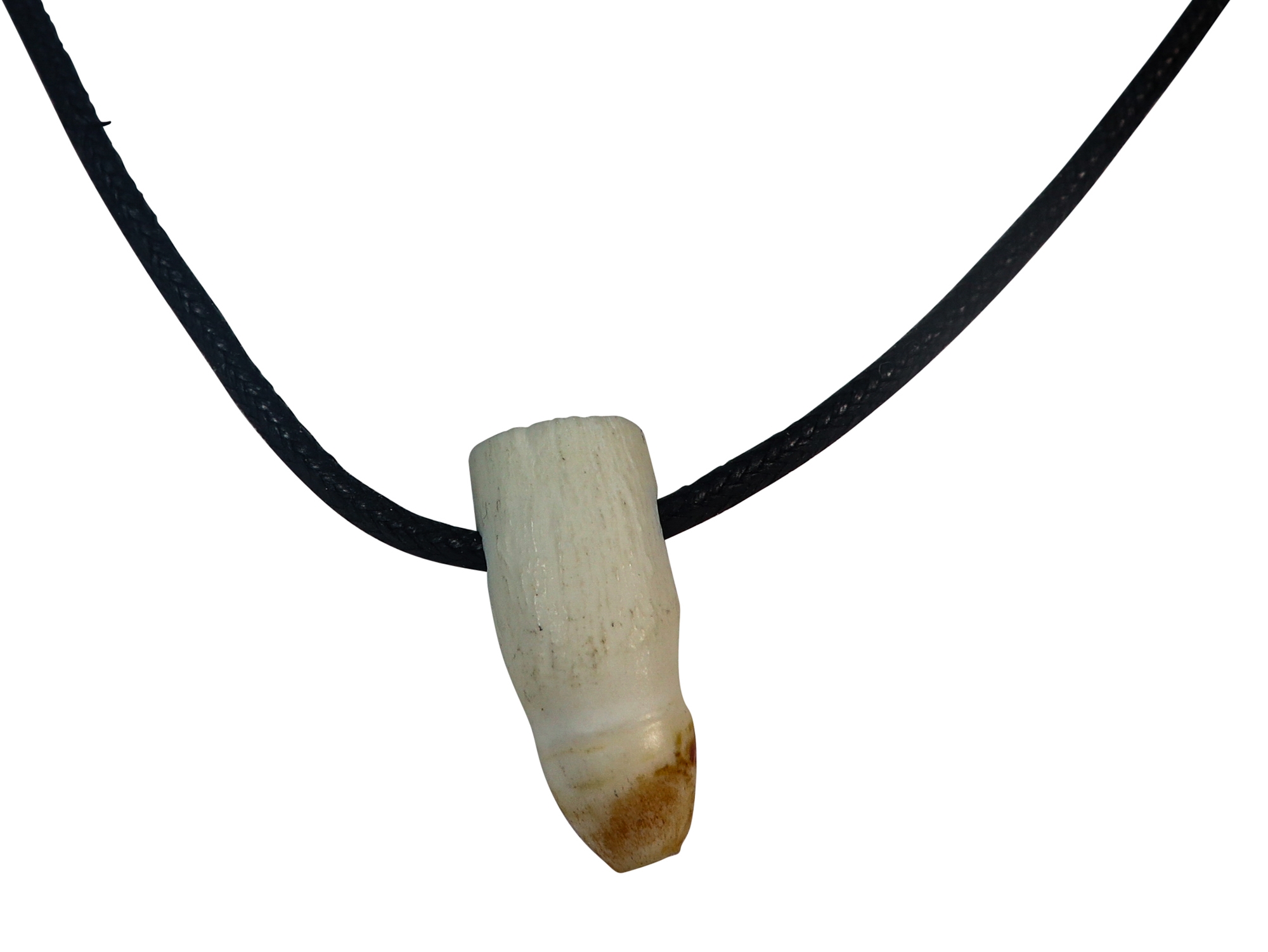 Gator Tooth Necklace - Fimo Bead Collection | Natural Selections Inc. |  Natural Selections International