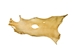 Deer Rawhide: #3 Grade: Bleached - 55-40-3B-AS (Y2J)