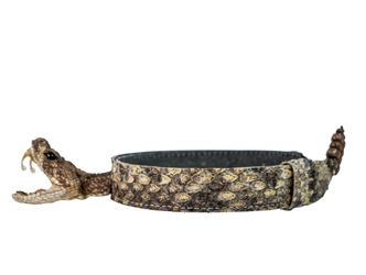 1" Real Texas Western Diamondback Rattlesnake Hat Band with Front Head & Rattle rattlesnake hatbands