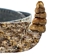 1" Real Texas Western Diamondback Rattlesnake Hat Band with Side Head & Rattle - 598-HB161 (Y2L)