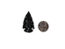 Black Obsidian Arrowhead: 1.5" - 76-BO15 (Y1M)