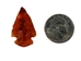 Carnelian Arrowhead: 1" - 76-CA10 (Y1M)