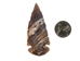 Fancy Jasper Arrowhead: 3" - 76-JF30 (Y1M)