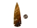 Fancy Jasper Arrowhead: 5" - 76-JF50 (Y1M)