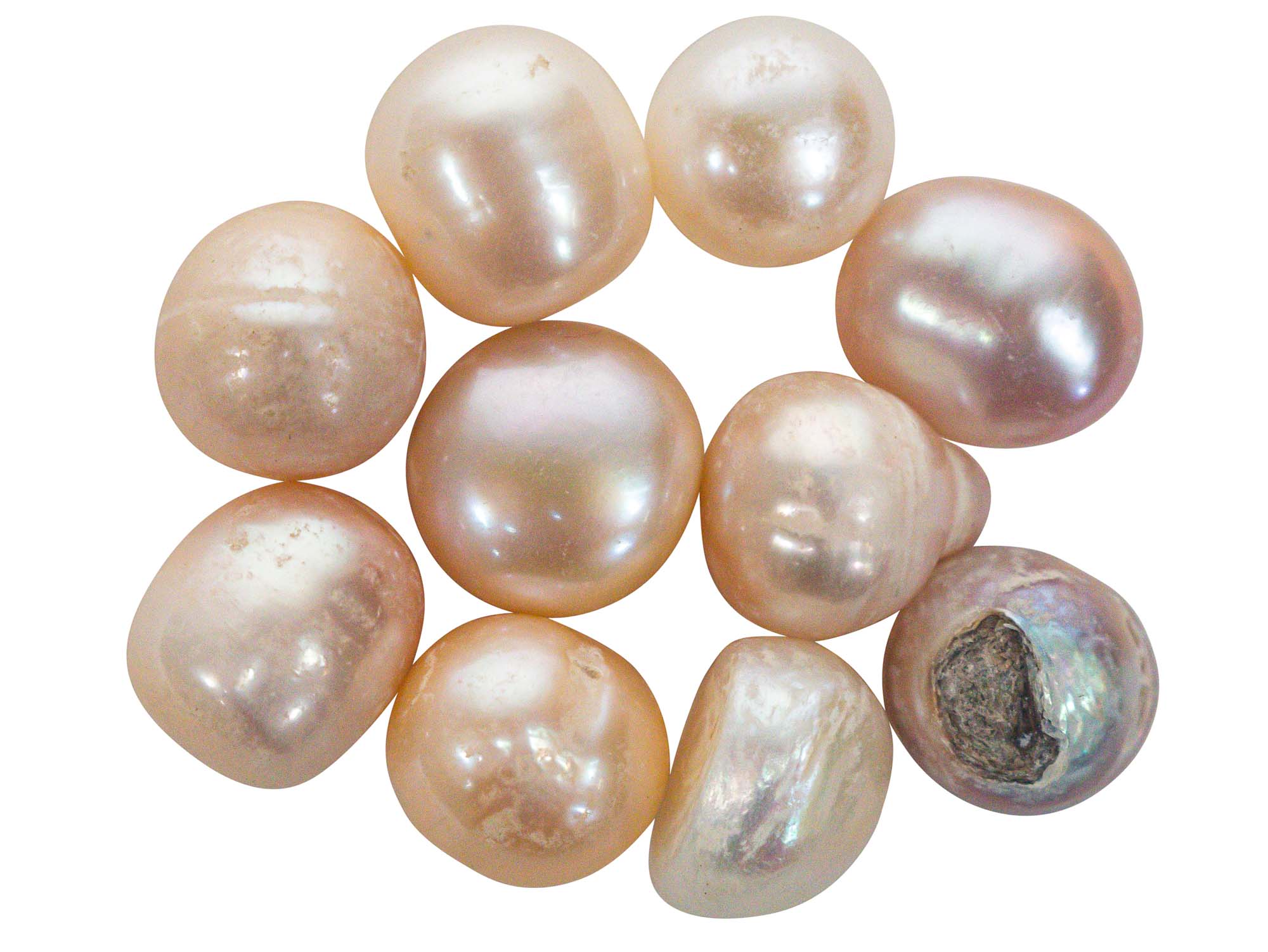 Craft pearls clearance