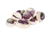 Purple Ringtop Cowrie Shell (10-Pack) - 269-275-D (Y1J)