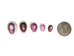 Purple Ringtop Cowrie Shell (kg) - 269-275-KG (Y3J)