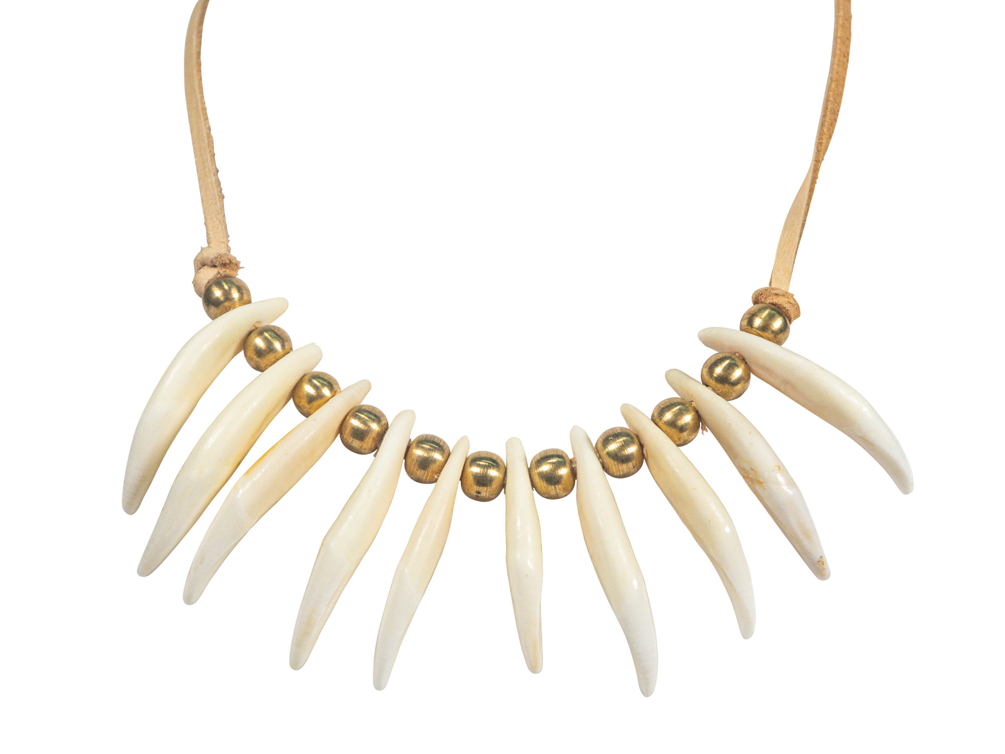 Coyote on sale tooth necklace