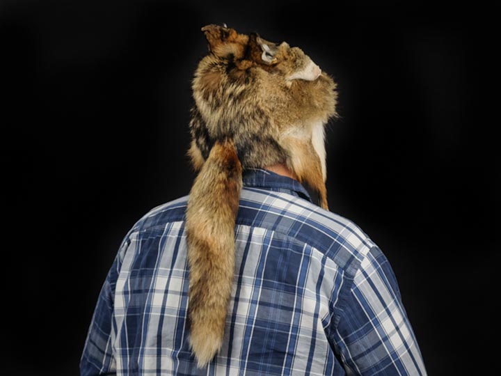 Coyote Mountain Man Hat: Gallery Item