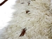 Angora Wooly Chaps: Adult: Gallery Item - 1405-AN-G8543 (Y1G)