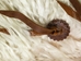 Angora Wooly Chaps: Adult: Gallery Item - 1405-AN-G8543 (Y1G)