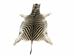 Zebra Skin: Trophy Grade: Gallery Item - 168-T-G108 (Y2D)