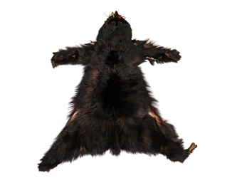 Craft Grade Black Bear Skin: Gallery Item 