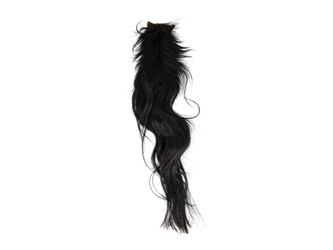 Dried/Hard Tanned Horse Tail: Gallery Item 