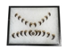 Real Black Bear Claw: Set of 20: Gallery Item - 209-04-SET-G6404 (Y2D)