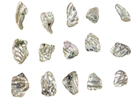 Tumbled African Abalone Shell Pieces: 3.9 oz: Gallery Item 