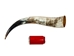 Polished Steer Horn: 23": Gallery Item - 304-20-24-G6409 (Y3K)