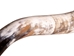 Polished Steer Horn: 23": Gallery Item - 304-20-24-G6409 (Y3K)