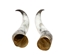 Pair of Polished Steer Horns: 36": Gallery Item - 304-P3436-G7531 (Y3H)