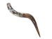 Polished Steer Horn: 34": Gallery Item - 304-S3234-G7518 (Y3H)