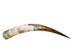 Polished Steer Horn: 32.5": Gallery Item - 304-S3234-G7519 (Y3H)