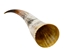 Polished Steer Horn: 32.5": Gallery Item - 304-S3234-G7519 (Y3H)