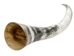 Polished Steer Horn: 36": Gallery Item - 304-S3436-G7528 (Y3H)