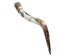 Polished Steer Horn: 34": Gallery Item - 304-S3436-G7529 (Y3H)