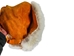 Coyote Fur and Cow Leather Bag: Gallery Item - 431-10-G7516 (Y1G)