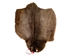 Sheared Beaver Skin: Craft: Gallery Item - 50-55-G6385 (Y1E)