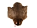 Sheared Beaver Skin: Craft: Gallery Item - 50-55-G6400 (Y1L)