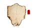 Sheared Beaver Skin: Craft: Gallery Item - 50-55-G6401 (Y1L)