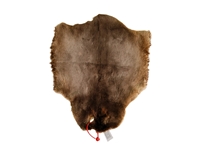 Sheared Beaver Skin: Craft: Gallery Item 