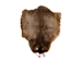 Sheared Beaver Skin: Craft: Gallery Item - 50-55-G6401 (Y1L)