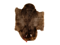 Sheared Beaver Skin: Craft: Gallery Item 