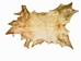 Deer Rawhide: #1 Grade: Bleached: Gallery Item - 55-40-1B-G2823 (Y2J)