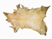 Deer Rawhide: #1 Grade: Bleached: Gallery Item - 55-40-1B-G2823 (Y2J)