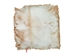 Brightened Goat Rawhide: Extra Large: Gallery Item - 55-52XB-G6371 (Y2J)