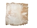 Brightened Goat Rawhide: Extra Extra Large: Gallery Item - 55-52XXB-G6372 (Y2J)