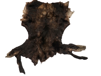 Moose Hide: Gallery Item 