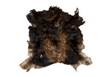 Moose Hide: Gallery Item 