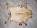 Wild Boar Skin: Large: Gallery Item - 577-L-G4532 (Y1L)