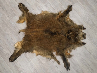 Wild Boar Skin: Large: Gallery Item 