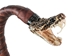 Real Rattlesnake Cane: Open Mouth: Gallery Item - 598-C512-G8545 (Y2L)