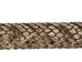 Real Rattlesnake Cane: Open Mouth: Gallery Item - 598-C512-G8545 (Y2L)