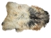 Icelandic Sheepskin: Piebald: 130-140cm or 52" to 56": Gallery Item - 7-404-G7535 (Y1L)