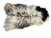 Icelandic Sheepskin: Piebald: 130-140cm or 52" to 56": Gallery Item - 7-404-G7536 (Y1L)