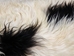 Icelandic Sheepskin: Piebald: 130-140cm or 52" to 56": Gallery Item - 7-404-G7537 (Y1L)