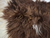 Icelandic Sheepskin: Piebald: 130-140cm or 52" to 56": Gallery Item - 7-404-G7538 (Y1L)